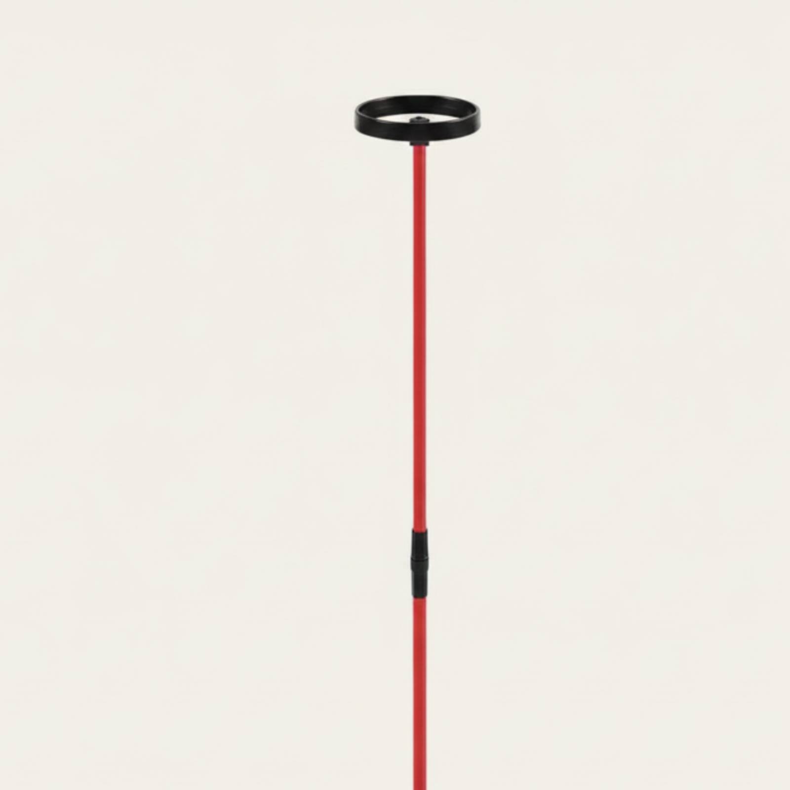 Aide à l'entraînement de golf  - Training Aid Swing avis et prix